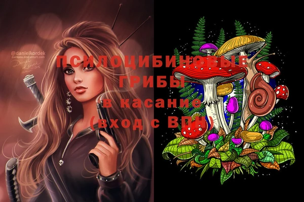 индика Алексин
