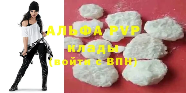 индика Алексин