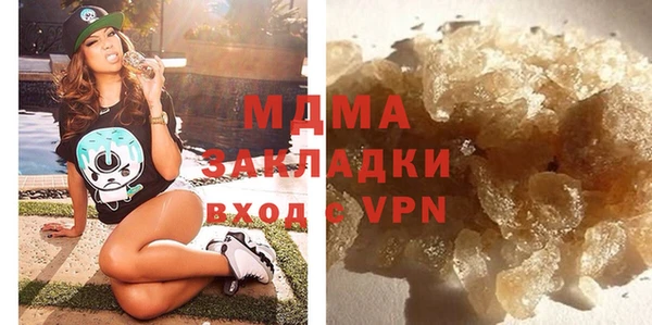 индика Алексин
