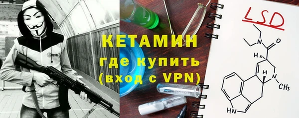 индика Алексин