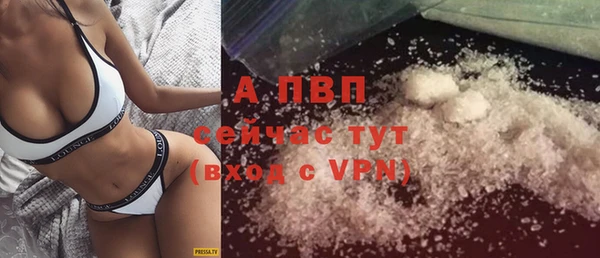 индика Алексин