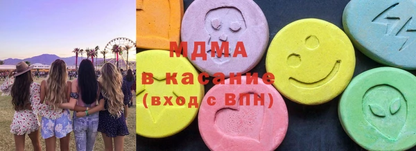 индика Алексин
