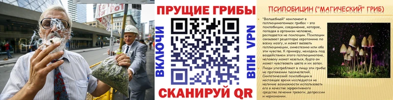 ссылка на мегу как войти  darknet состав  Галлюциногенные грибы GOLDEN TEACHER  Углич 